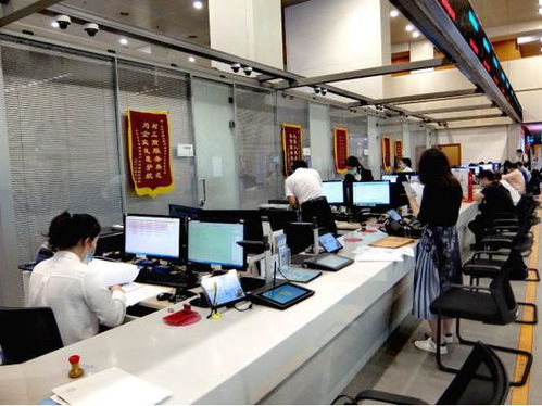 科技賦能，服務百姓——北京順義區創新技術服務模式探秘